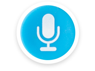 voice button